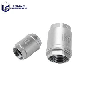 Vertical Control Check Valve SS316 NPT Threaded Spring and Swing Check Valve Forged High Temperature Steel Water Power Plant