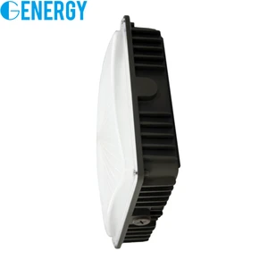 40W Canopy Light ETL IP65waterproof China Supplier Recessed Canopy Led Ceiling Led Station Light Led Parking Garage Lighting