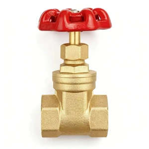 3/4'' Manual Brass Globe Valve with Fnpt X Fnpt Connection for Water Control Customizable OEM Support 2-Year Warranty