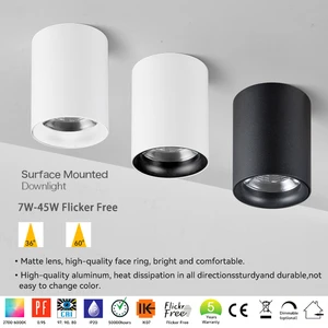 Tuya Control Downlight 7w Surface Mounted Spotlights Retail Deep Anti-glare Fixtures Pendant 4000K Downlight For Living Room