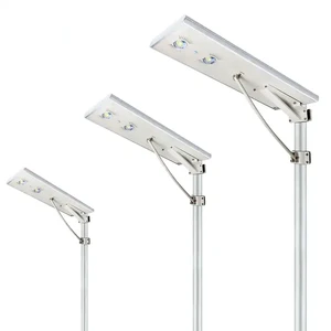 IP65 Outdoor Waterproof 30W 40W 60W 80W 100W Aluminum LED Solar Street Lights for Road Use with Pole High CRI 95