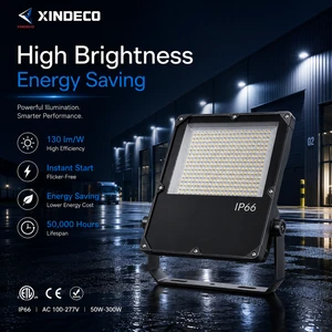 IP66 LED Flood Light for Warehouse Stadium Tunnel 130lm/W Energy Saving Adjustable Bracket Aluminum Alloy Multi-Color Temp