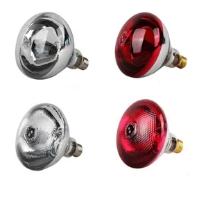 R63 R80 R95 50W 75W 100W Pet Lamp Heating Infrared Bulb 230V Animal Spotlight Incandescent Bulb