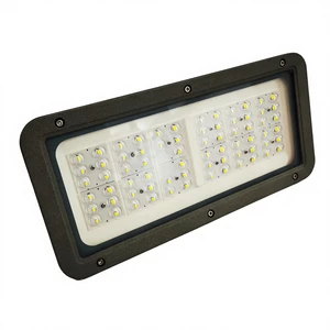Factory Direct Sale 80W/160W IP65 Rated Outdoor LED Tunnel Light Kit Steel Construction Economical Tunnel Lighting Solution