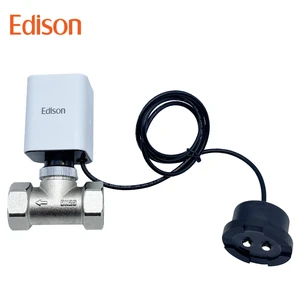 Smart Brass Motorized Ball Valve with Leak-Proof Detection System Electric Stop Auto Shut-Off Water Leak Sensor Compatible