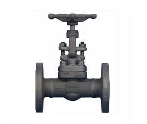 Forged Carbon Steel A105 Globe Valve 1 Inch Screwed End Class 150 High Temperature Water Manual OEM Industrial Flow Control