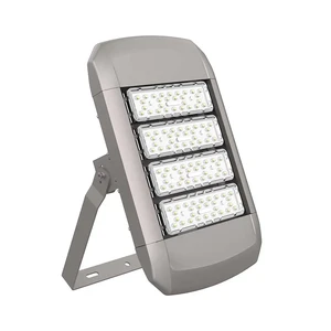 High Standard IP67 LED Flood Light Aluminum Body with Good Waterproof & Corrosion Resistance AC Power Adjustable for Road Angle