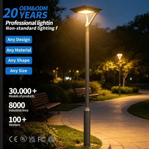 20W 50W 30W 100W 60W Outdoor Light Pole Waterproof Courtyard Lane Front Light LED Column Ceiling Light