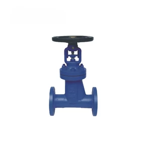 Manual Bellows Globe Valve for Water High Temperature OEM Customizable