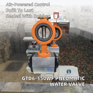 Valve