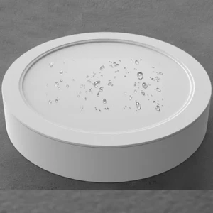 Modern IP54 Rated LED Ceiling Light Waterproof ABS Body CRI80 High Visibility Kitchen Bathroom Outdoor Eaves Aisle Lighting
