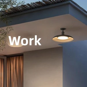 Outdoor Waterproof LED Ceiling Light-Industrial-Style Minimalist Design for Entryway Porch Balcony & Courtyard 220V