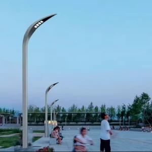 IP65 AC Outdoor LED Garden Light 6000K Daylight Wind Resistant 200km/h CRI 85 2-6m Installation Height 5-Year Warranty