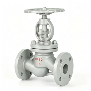 Cast Steel Globe Valve for Water Supply PN16 Flanged Connection 2in-8in Port Size OEM Supported