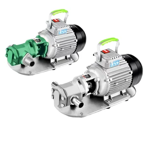 Hydraulic Electric Transfer Pump WCB Stainless Steel Gear Transfer Pump