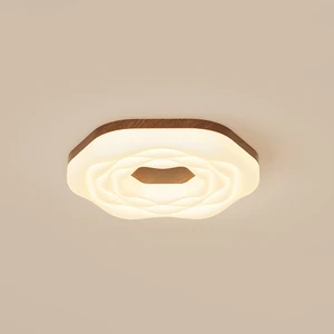 Modern Ultra Slim 5cm LED Ceiling Lamp Ra97 Full Spectrum 3 Color Changeable 230mm to 880mm Size Flush Mount Lamp for House