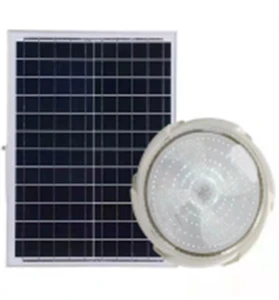 High Quality Indoor Outdoor Waterproof IP67 Led Solar Lamp Garden Ceiling Lights 6000K Daylight 30000 Hours CRI 90 CE Certified