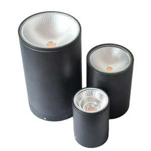 30w Downlight for Outdoor Light Waterproof Ip65 Ceiling Surface Lamp