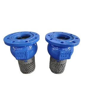 Heavy Duty Foot Control Valve DN100 Ductile Iron Water Valve for Water Supply