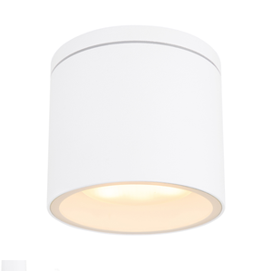 Decorative Die-cast Aluminum Waterproof Cylinder Round Shape GX53 Outdoor Ceiling Light Lamp