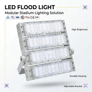 Outdoor Modular IP66 COB Tunnel Lights Football Field 50W-600W LED Floodlights Square Road Stadium Lighting