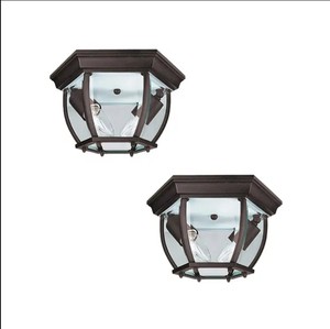 New Design Outdoor Ceiling Light LED Black 11inch Ceiling Lamp for Home Hotel