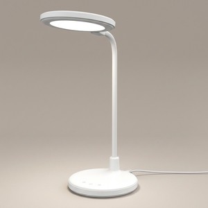 2 in 1 Desktop LED Desk Lamp with Lighted-up Mirror USB Rechargeable Mirror Lamp