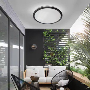 Modern Steel LED Ceiling Lights for Living Room with AC Power and Adjustable Color