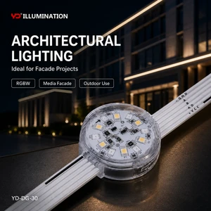 IP68 Outdoor LED Point Light for Bridge Decorative Lighting