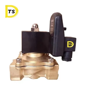 Factory Direct DN20 25 40 Right Angle Electromagnetic Pulse Control Valve with Solenoid Power OEM Customizable