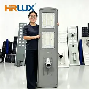 Professional Manufacturer Custom OEM 50W 60W All-in-one Solar Street Light IP66 Warm White Villa Yard Outdoor Lamp