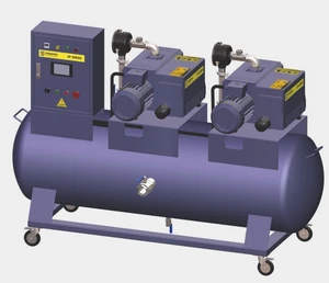 Industrial-Grade 20*2m³/h Pump System SINGLE-STAGE ROTARY VANE DOUBLE PUMP STORAGE TANK Low Pressure Vacuum System Made China