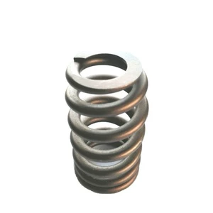Custom Sizes Valve Spring For Racing/Engine/Supertech