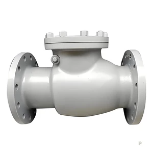 Customized Steel Casting Check Valve Body for Pipe Construction