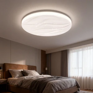 Modern Ultra-Thin LED Ceiling Lamp 12-24W PMMA Cover Iron Body 6000K CCT Colors For Home Office Dining Bedroom Interior