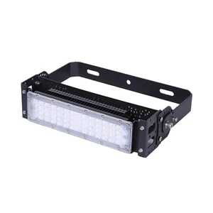 YOUWIN Customizable 50W Outdoor LED Tunnel Lamp With High Heat- Conductive Aluminum Housing IP65 for Stadiums Roads Hot Sale