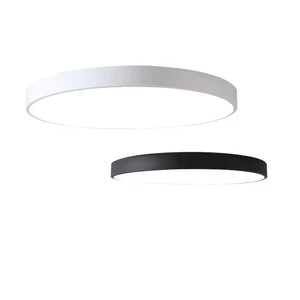Surface Mount Dimmable Bedroom Living Room Lamp Round Home Ultra Thin Smart Hallway Lampara 10, 12, 16inch Lighting Ceiling Lamp