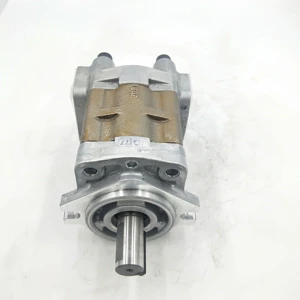 ZHENYUAN High Pressure SGP SGP1 Series SGP1A30R634 Hydraulic Gear Pump
