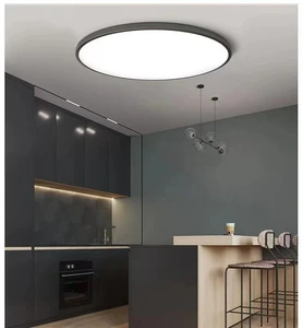 Modern Simple Ceiling Light 48W 36W 24W 18W Living Room Dining Room Indoor Ceiling Light Decorative Iron LED Ceiling Lamp