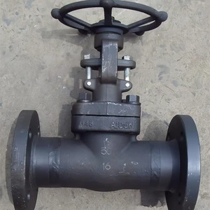 Heavy-Duty Manual Water Treatment Reliable High-Response Clog-Resistant Forged Steel Gate Valve