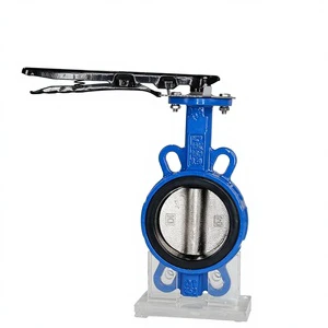 Jinwei Butterfly Valve DN50-DN1000 Manual Operated DI SS304 SS316 for Water/Oil/gas 1 Year Warranty