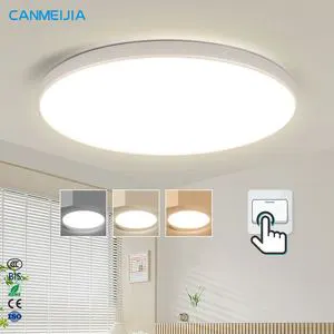 Simple Waterproof Dimmable Ceiling Light Living Room Bedroom Lights for Home Ceiling/Modern Ceiling Light/Led Ceiling Light