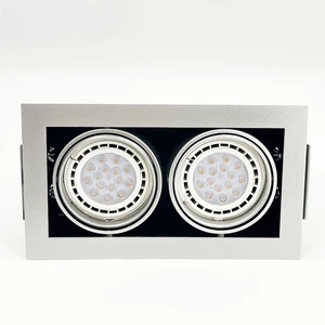 Modern 7w 15w 50w Commercial LED Downlight for Hotels Double-Head Ceiling Downlight with Adjustable Light Source for Living Room