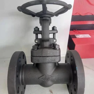 Forged Steel Globe Valve,flange End RF,800LB,2