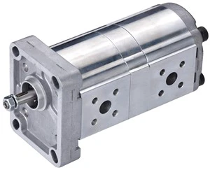 High Pressure Hydraulic Gear Pump with Customized Support and 12-Month Warranty