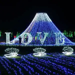 Colorful Ip65 Led Tunnel Light For Outdoor Christmas And Holiday Decoration In Garden & Park