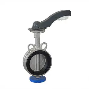 Good Quality Manual Acid Resistant PVDF Stainless Steel Lug Type Butterfly Valve Thermoplastic Wafer butterfly Valve