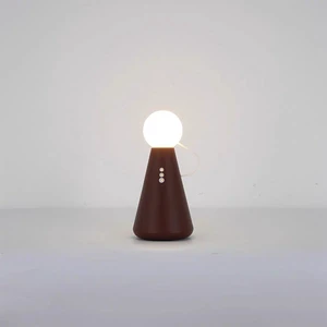 New Ambient Night Light, Outdoor Bedside Lamp and Mini Charging Table Lamp