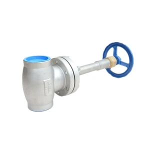 Cryogenic Long Stem Globe Valve for LNG