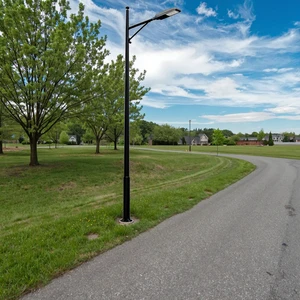 Classic Black Municipal Street Lamp Custom Manufacturer